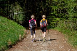 Zwei Personen wandern auf einem Weg