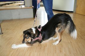 Blindenf&uuml;hrung macht Platz