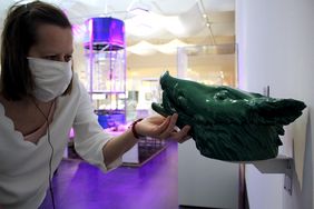 Gr&uuml;ner Schweinekopf zum Tasten, Frau mit Maske probiert es